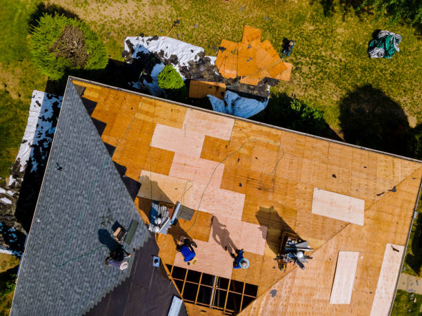 Best Roof Waterproofing Services  in Galesville, WI