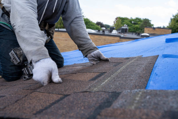Best New Roof Installation  in Galesville, WI