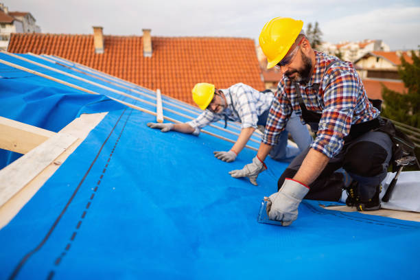 Best Roof Repair Services  in Galesville, WI