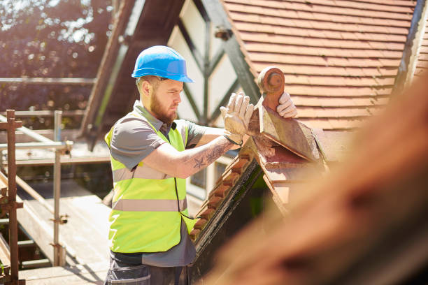 Best Roof Gutter Cleaning  in Galesville, WI